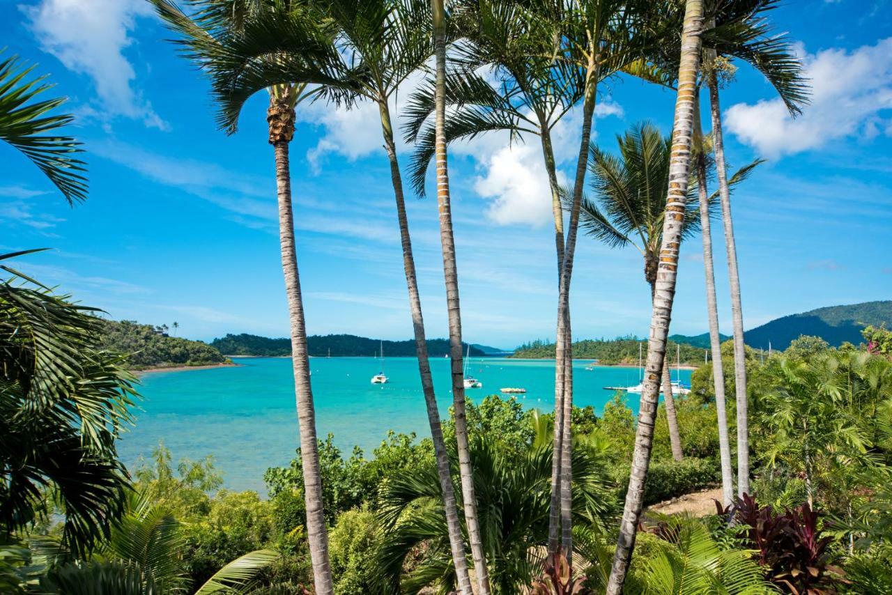 Baybliss Escape #4 - Adults Only Lejlighed Shute Harbour Eksteriør billede